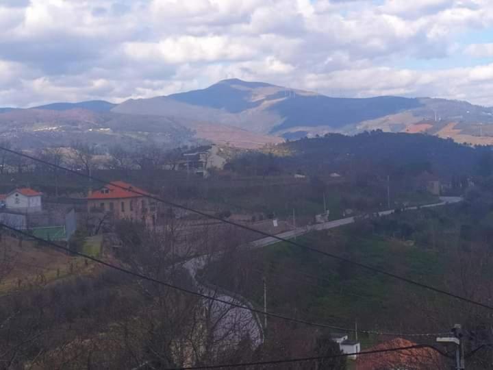 雷森迪Casa Do Lagar别墅 外观 照片